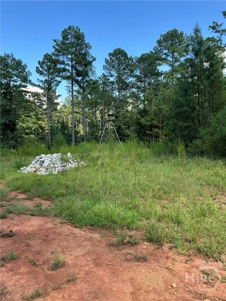 00 Fears Madison GA 30650