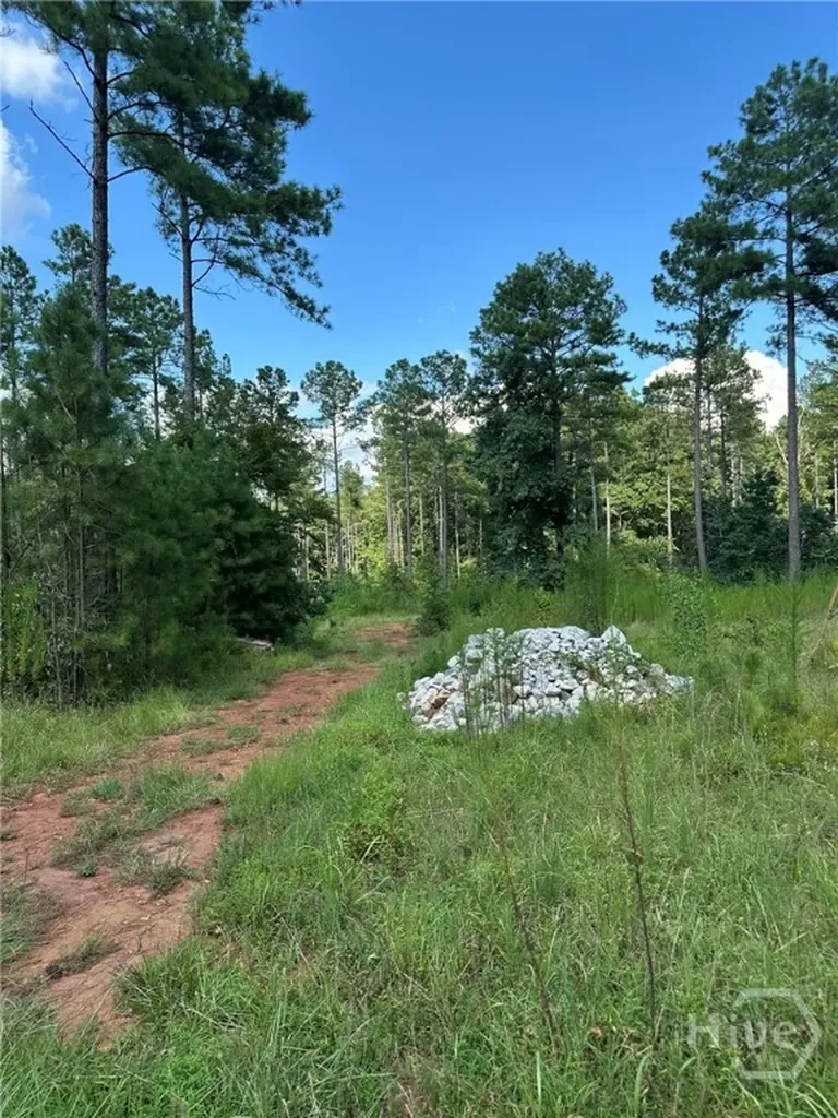 00 Fears Madison GA 30650