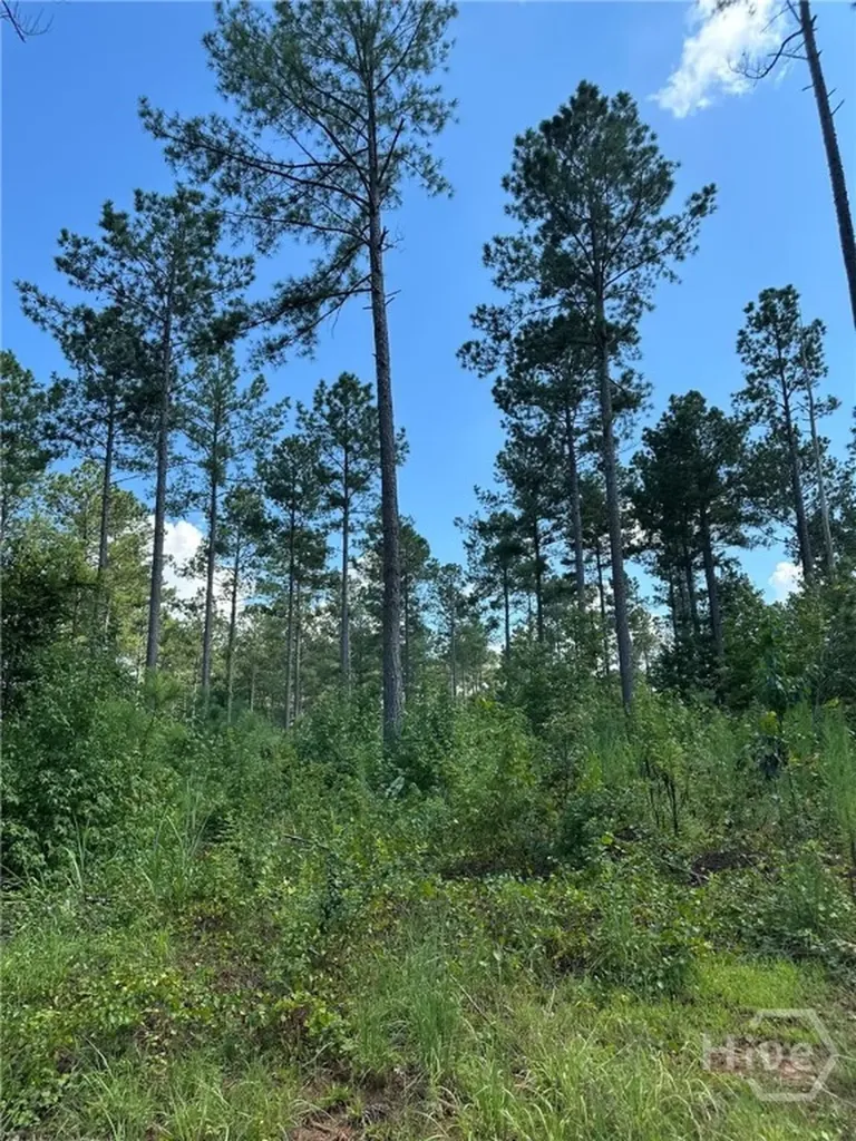 00 Fears Madison GA 30650