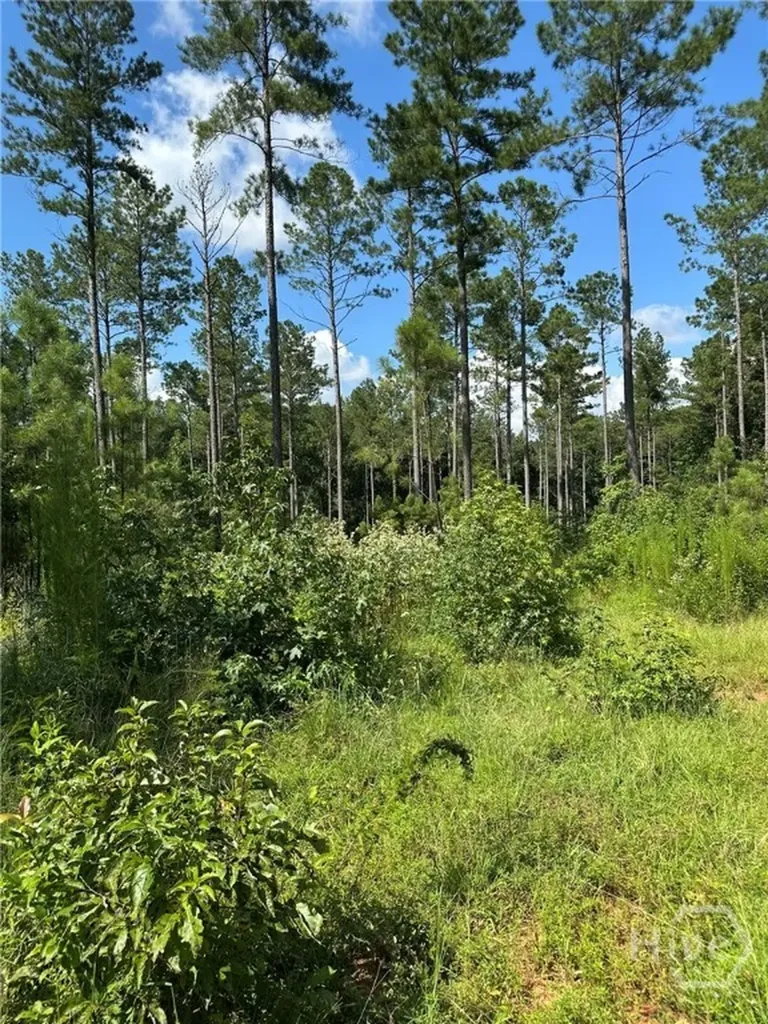 00 Fears Madison GA 30650