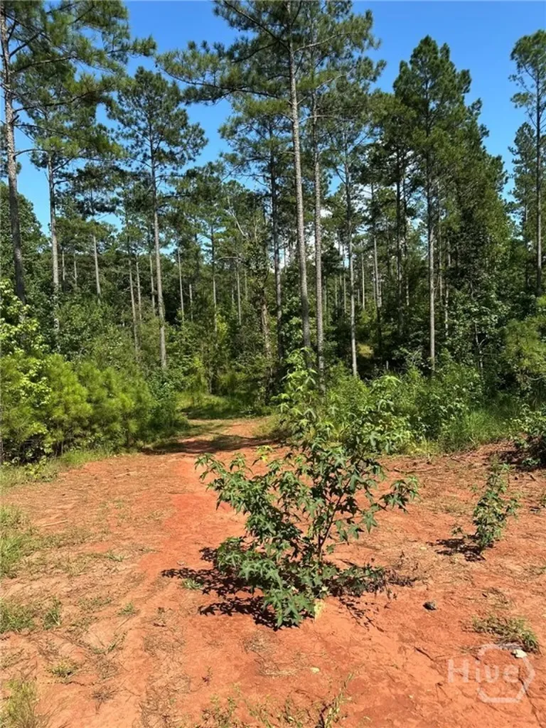 00 Fears Madison GA 30650