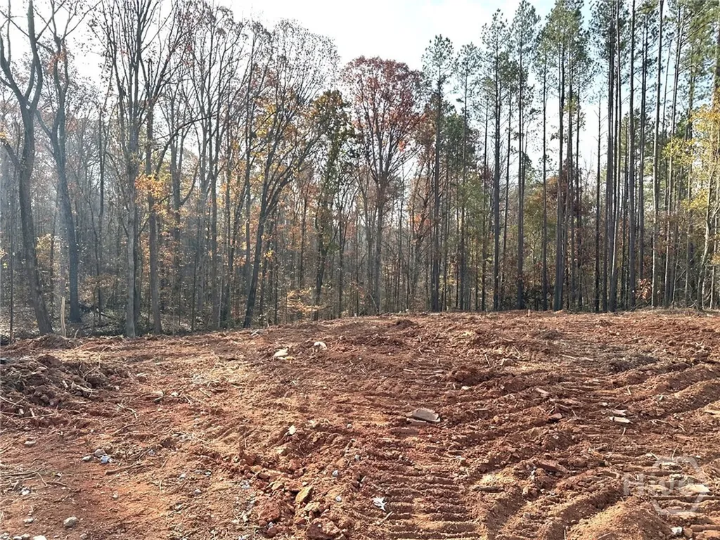 2037 Boulder Ridge Lane Bishop GA 30621