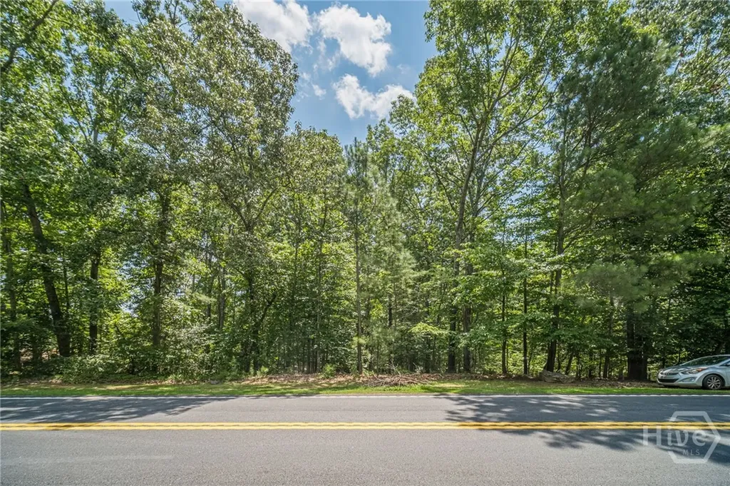 0 Johnson Road Suwanee GA 30024