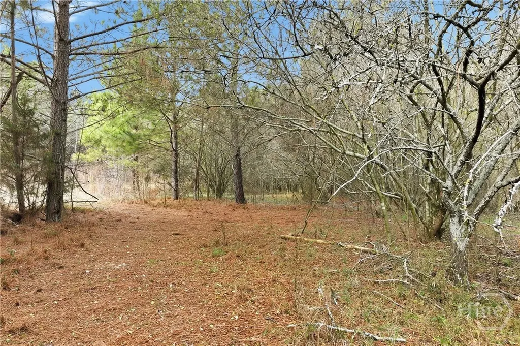 760 Fortson Compton Road Comer GA 30629