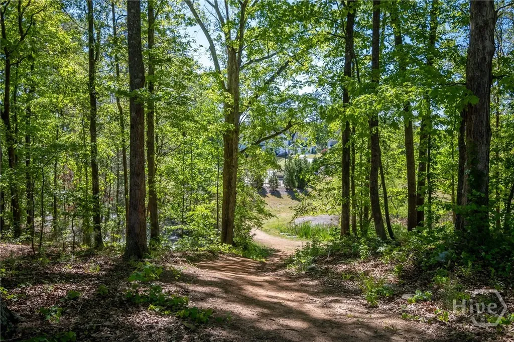 271 Canyon Ferry Way Hoschton GA 30548