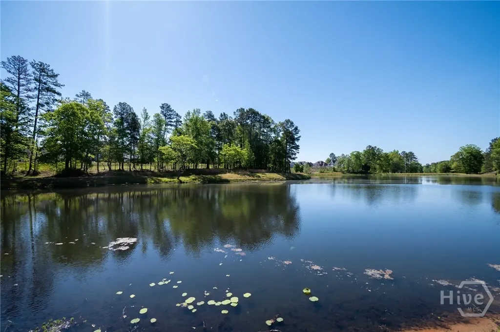 271 Canyon Ferry Way Hoschton GA 30548