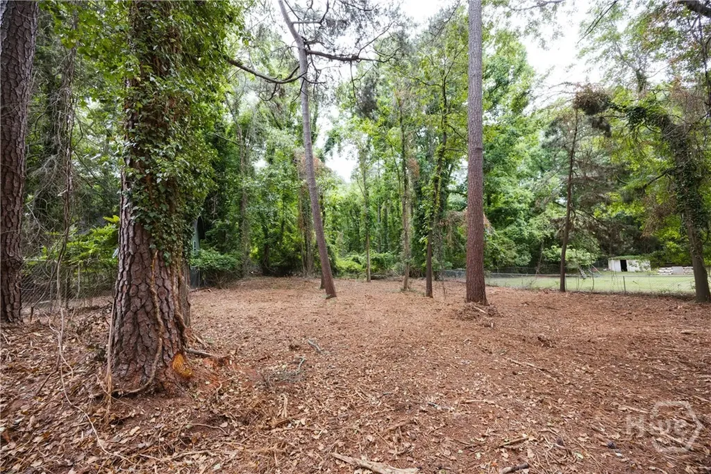 135 Cavalier Court Athens GA 30606