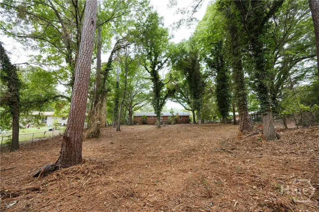 135 Cavalier Court Athens GA 30606