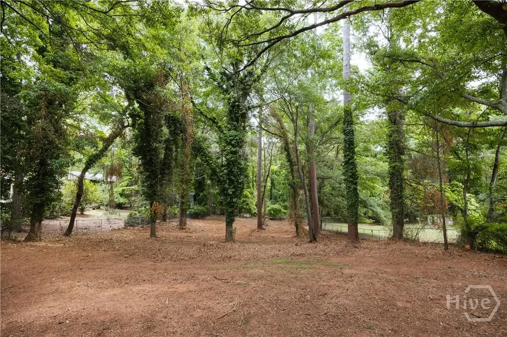 135 Cavalier Court Athens GA 30606