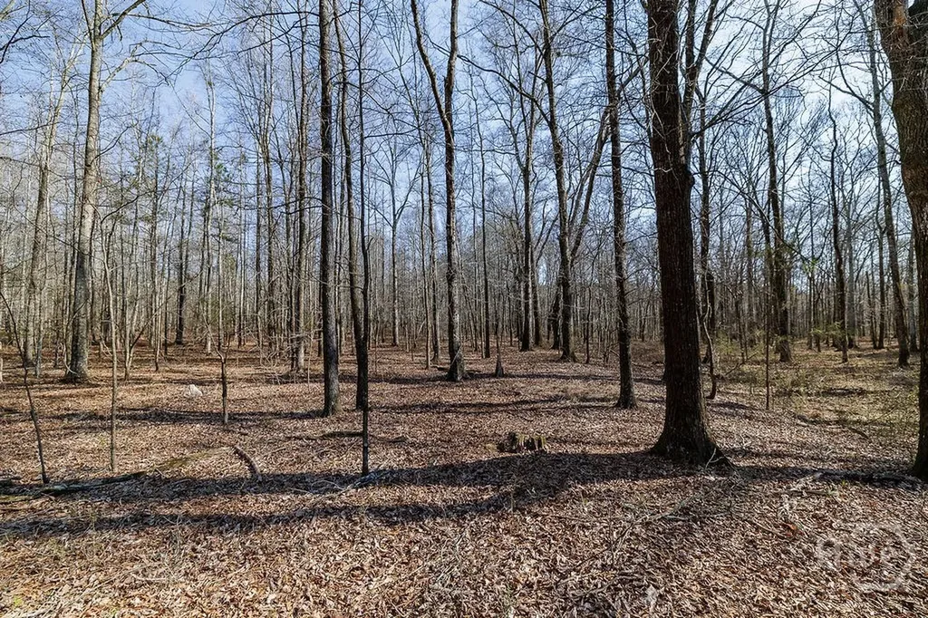 2644 Nunnally Shoals Tract 2 Road Good Hope GA 30641