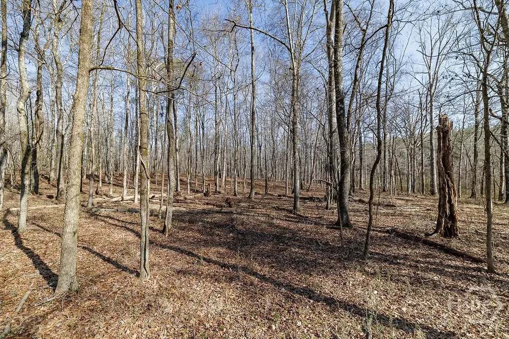 2644 Nunnally Shoals Tract 2 Road Good Hope GA 30641
