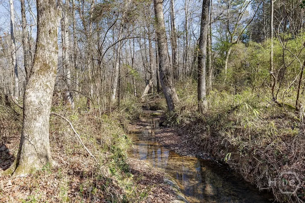 2644 Nunnally Shoals Tract 2 Road Good Hope GA 30641