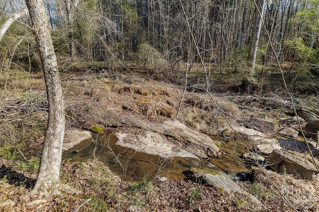 2644 Nunnally Shoals Tract 2 Road Good Hope GA 30641