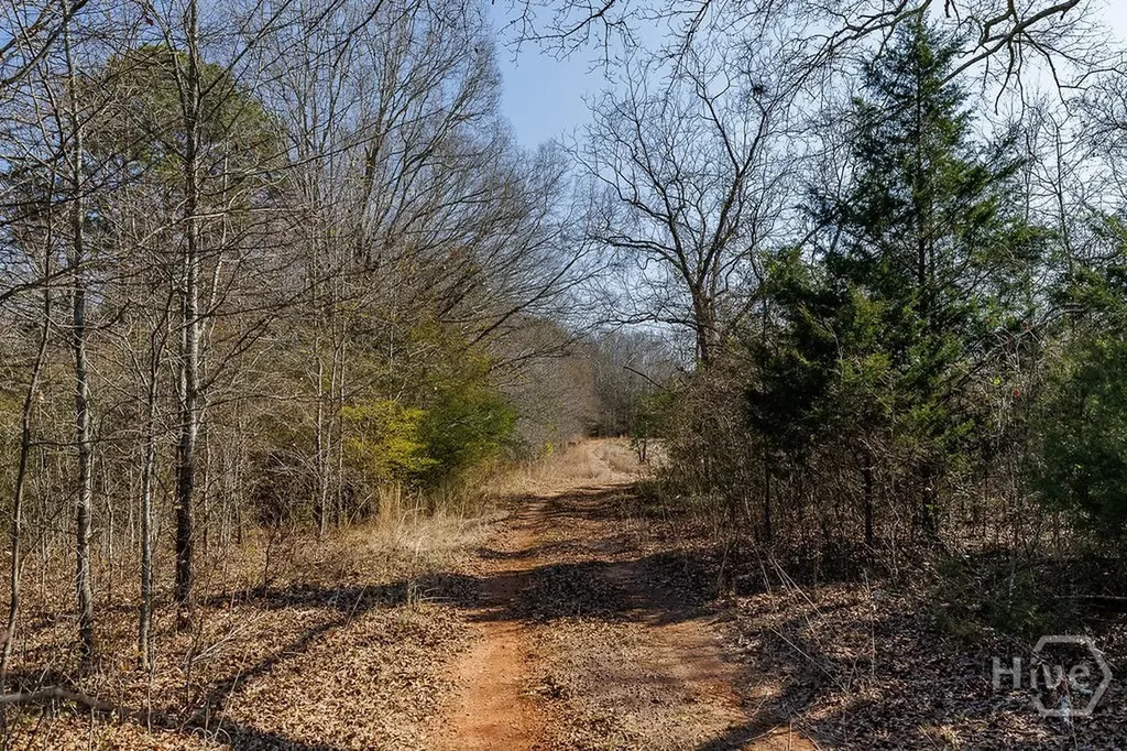 2644 Nunnally Shoals Tract 2 Road Good Hope GA 30641