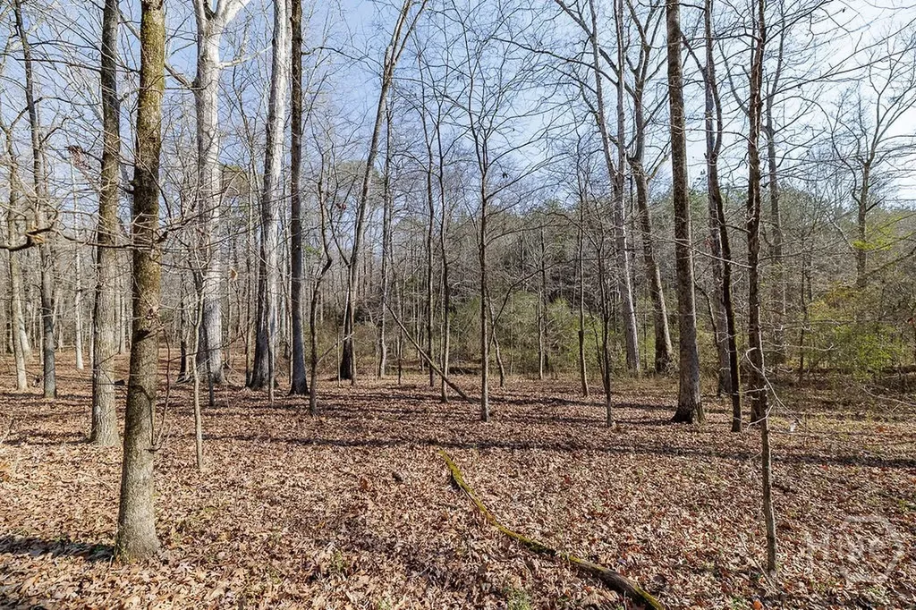 2644 Nunnally Shoals Tract 2 Road Good Hope GA 30641