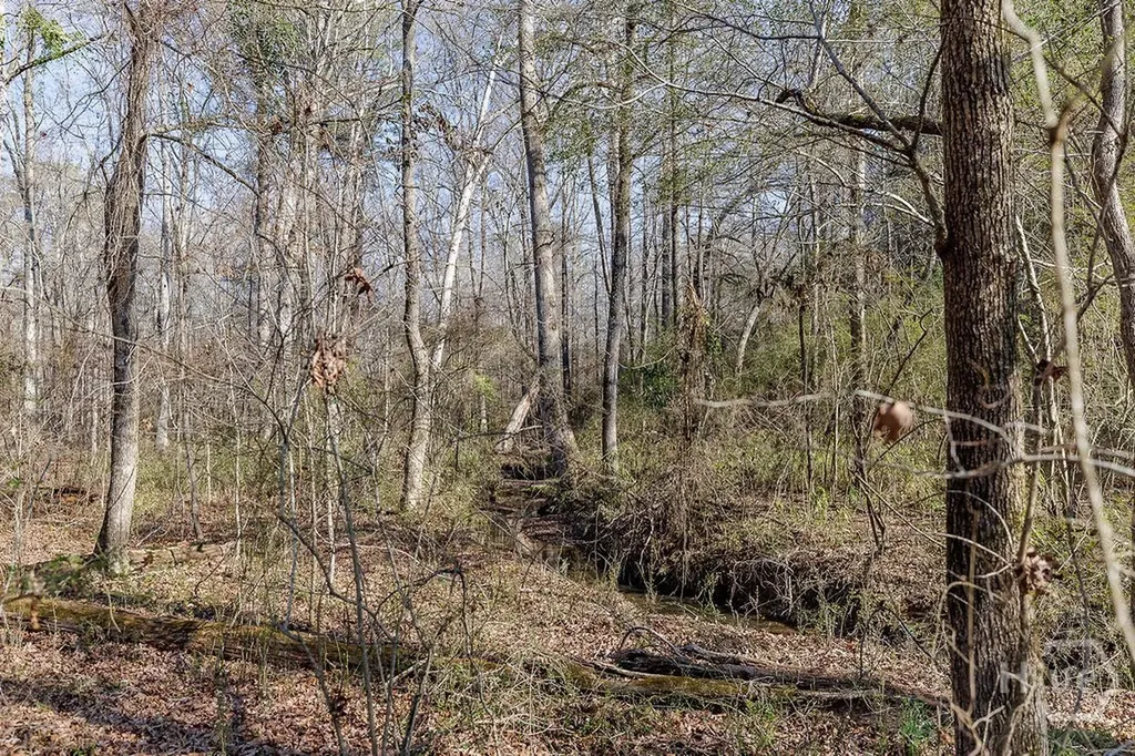 2644 Nunnally Shoals Tract 2 Road Good Hope GA 30641