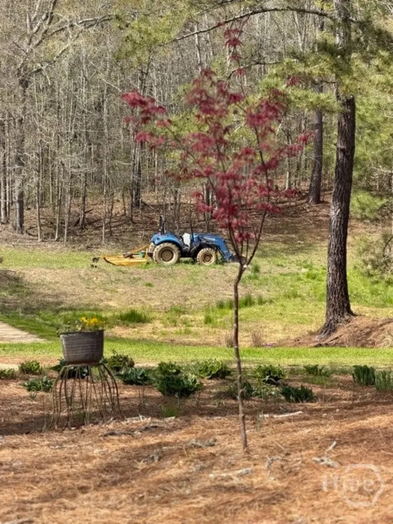 1208 Elberton Road Lexington GA 30648