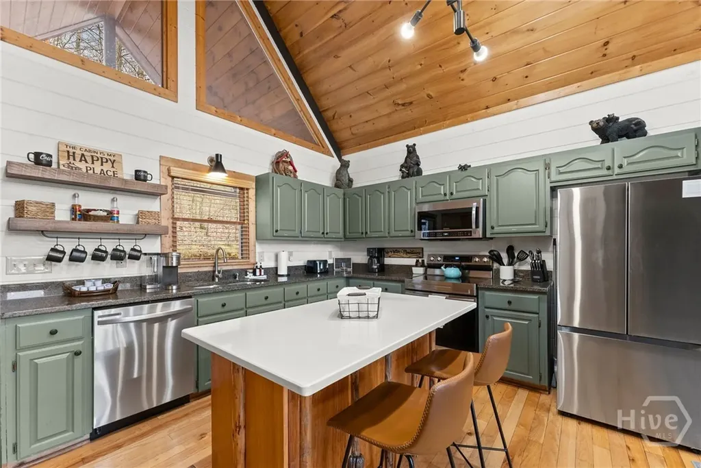 437 Spruce Circle Mineral Bluff GA 30559