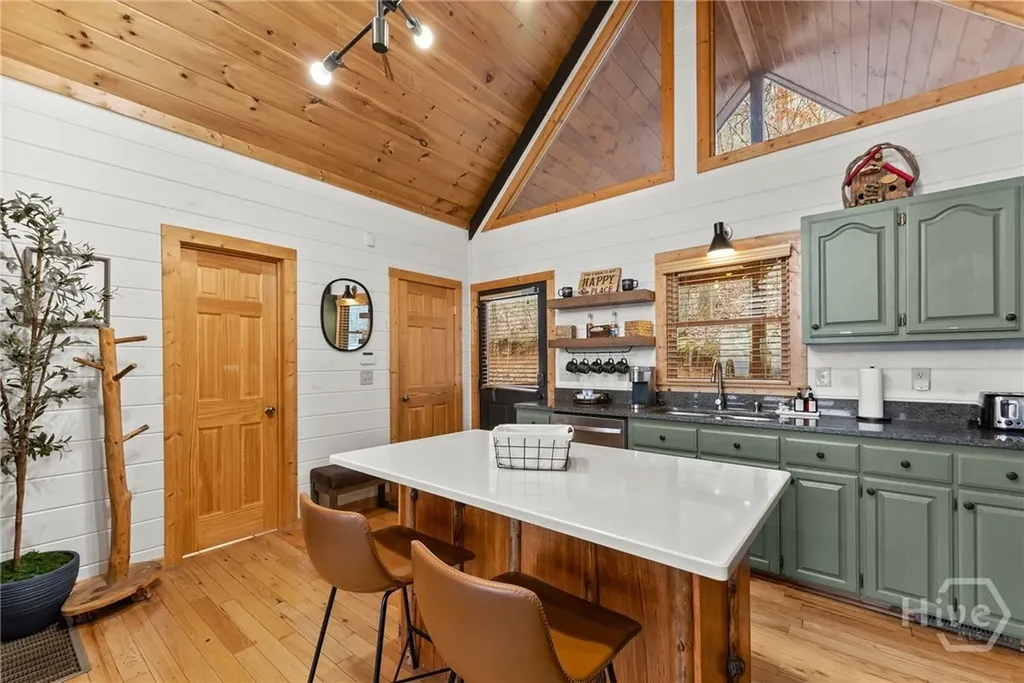 437 Spruce Circle Mineral Bluff GA 30559