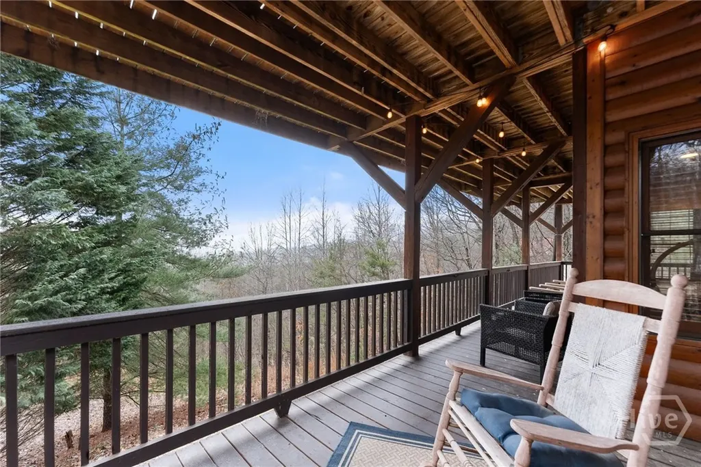 437 Spruce Circle Mineral Bluff GA 30559