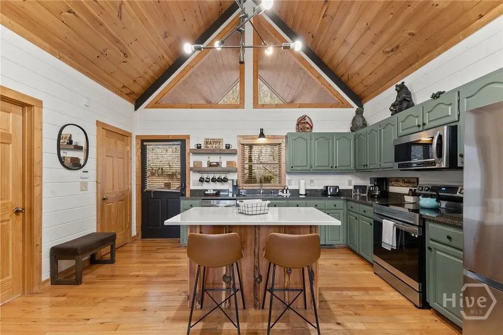 437 Spruce Circle Mineral Bluff GA 30559