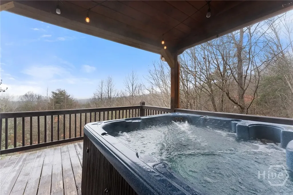 437 Spruce Circle Mineral Bluff GA 30559