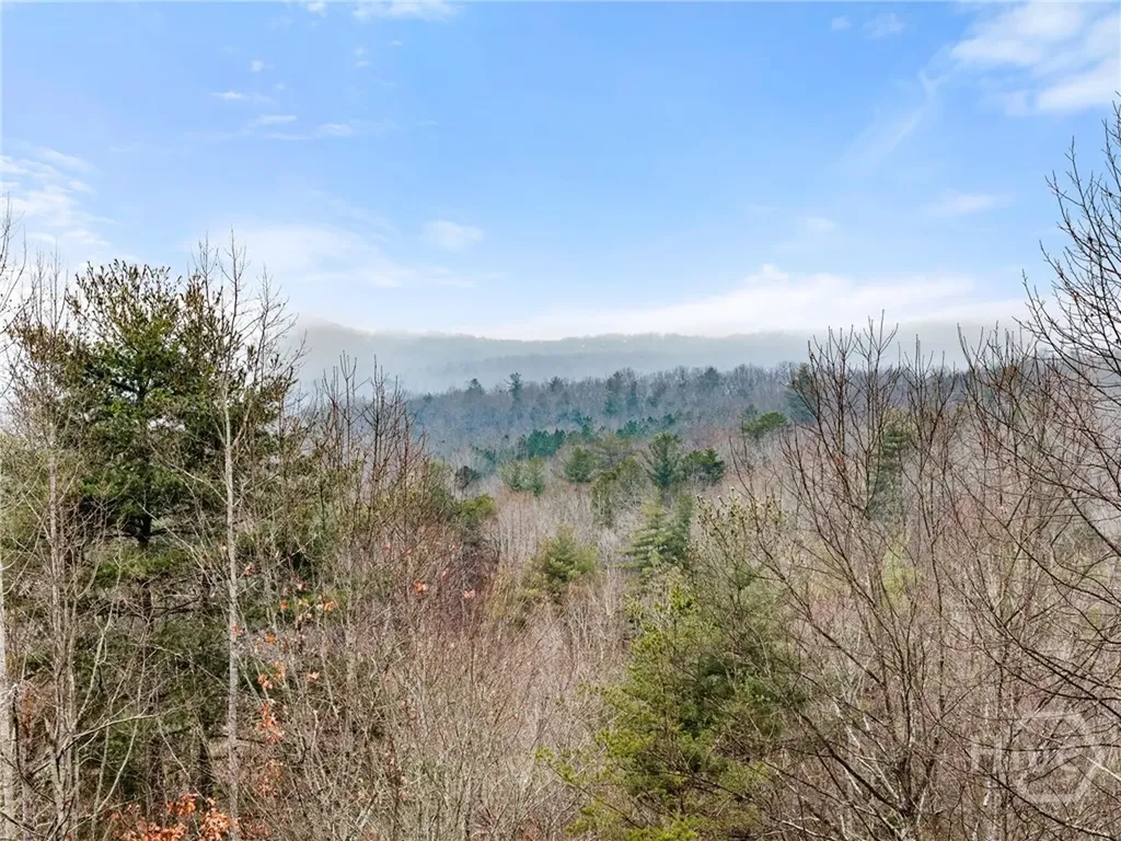 437 Spruce Circle Mineral Bluff GA 30559