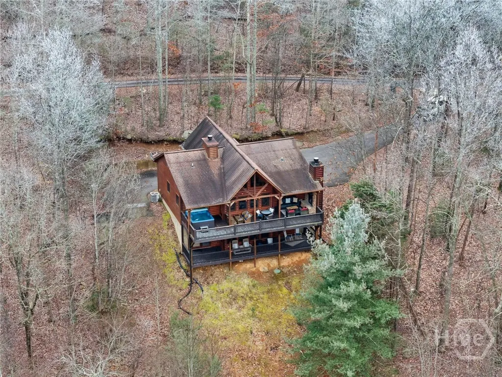 437 Spruce Circle Mineral Bluff GA 30559