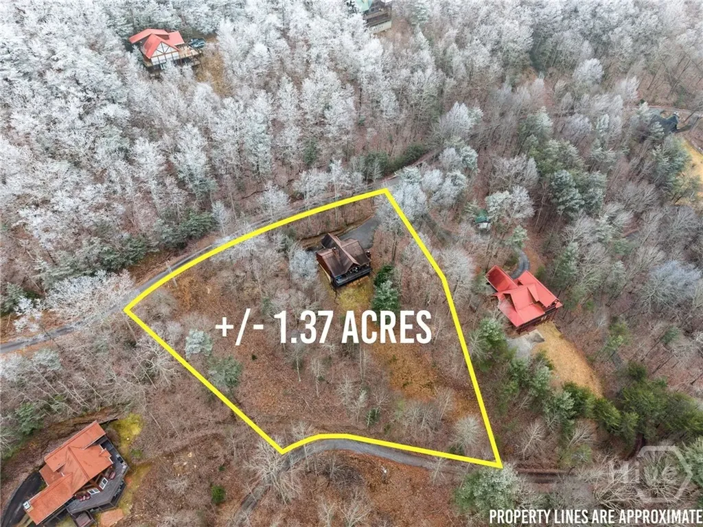 437 Spruce Circle Mineral Bluff GA 30559