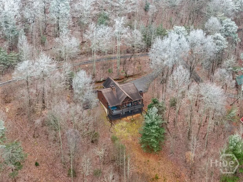 437 Spruce Circle Mineral Bluff GA 30559