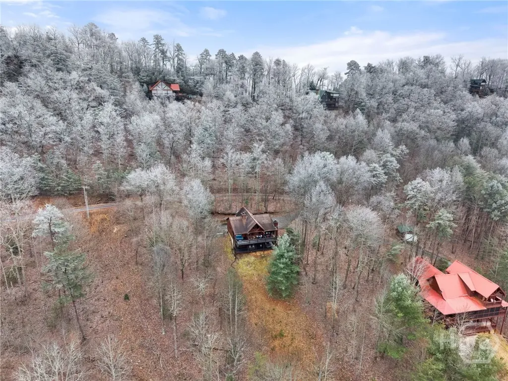 437 Spruce Circle Mineral Bluff GA 30559