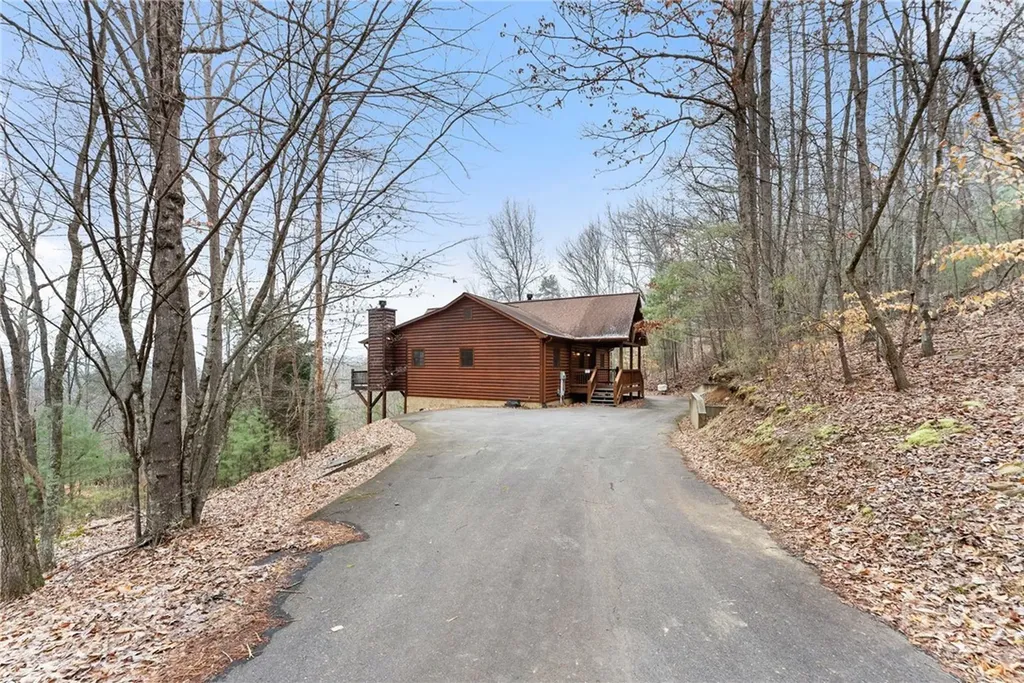 437 Spruce Circle Mineral Bluff GA 30559