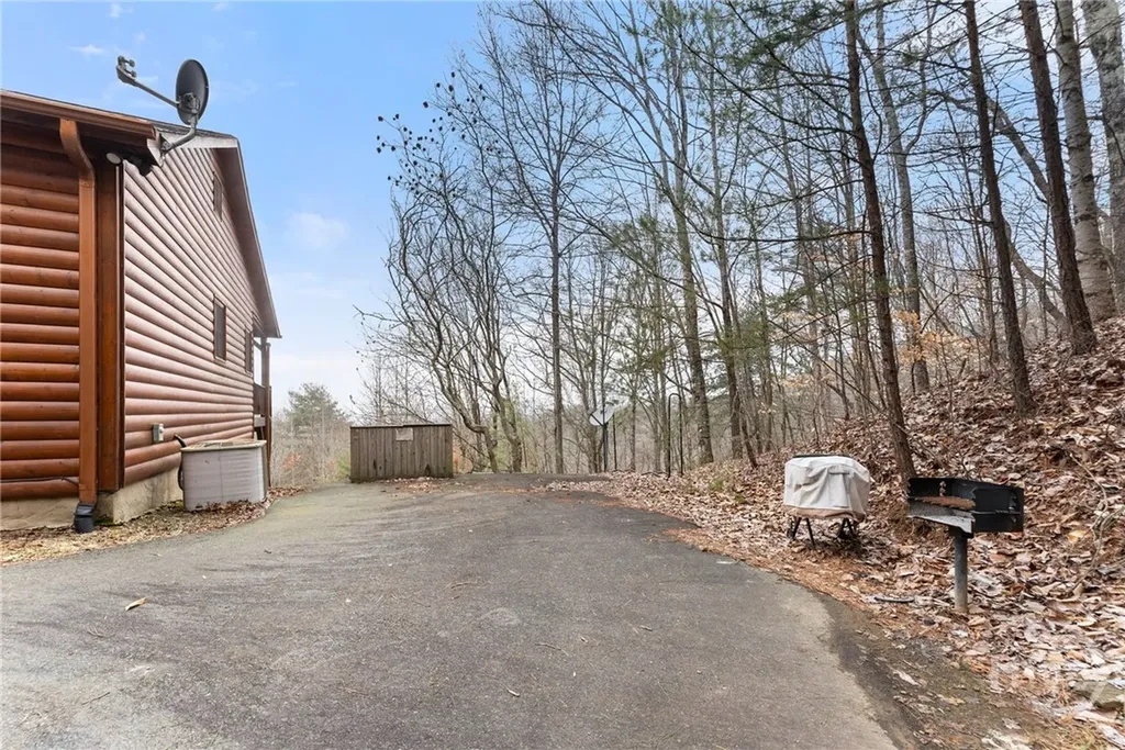 437 Spruce Circle Mineral Bluff GA 30559