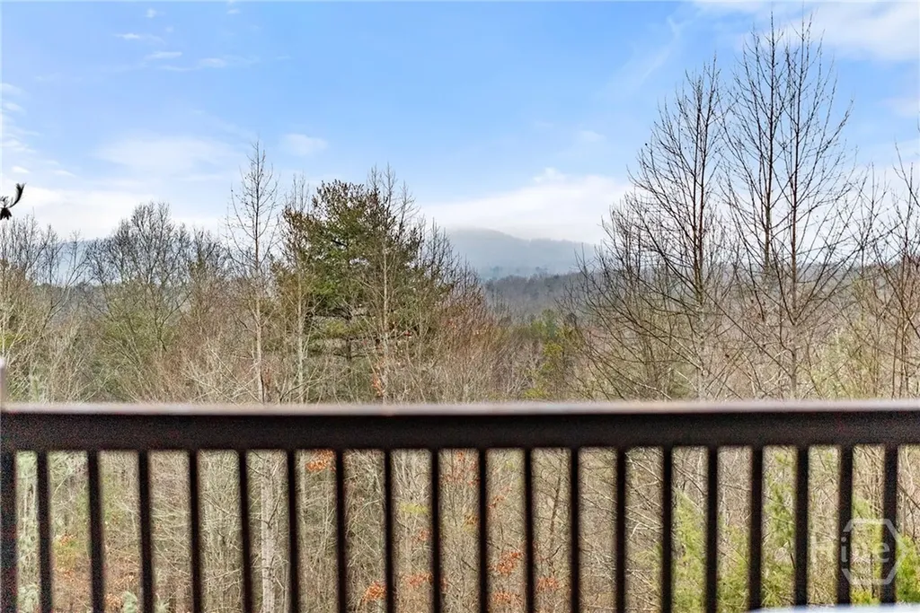 437 Spruce Circle Mineral Bluff GA 30559
