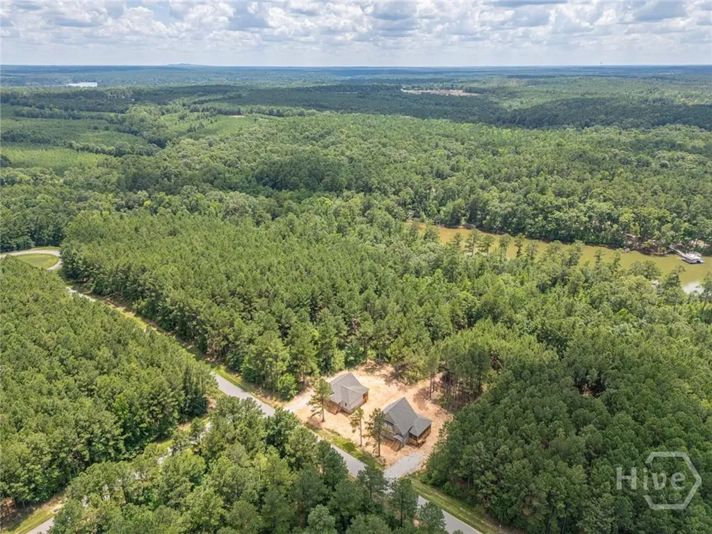 1198 Sunset Cove Tignall GA 30668
