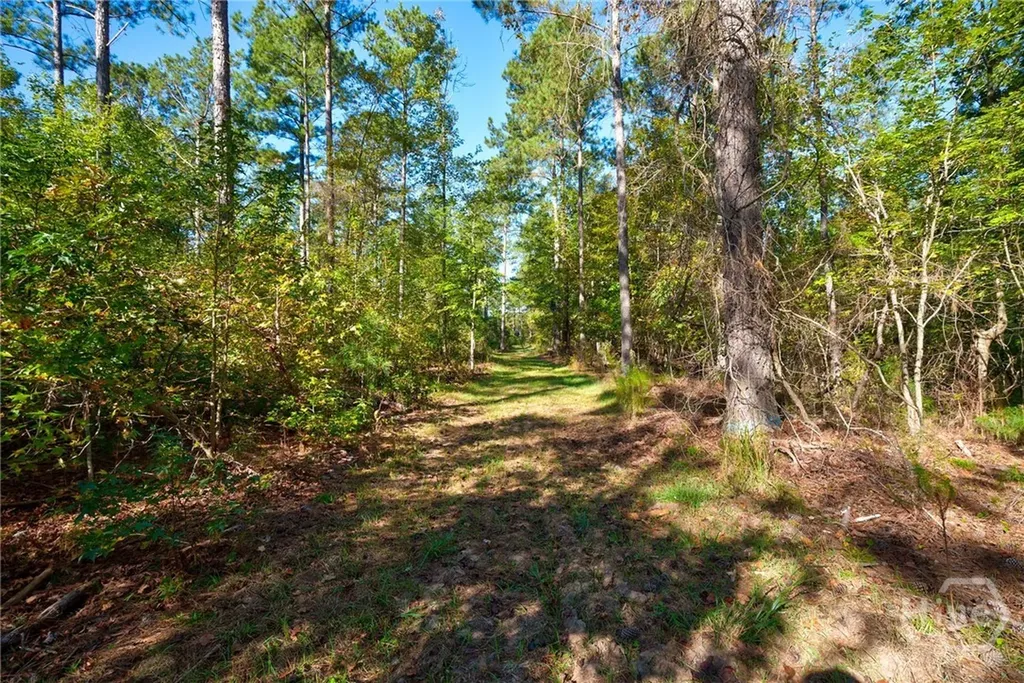 1 Bridges Carlton GA 30627
