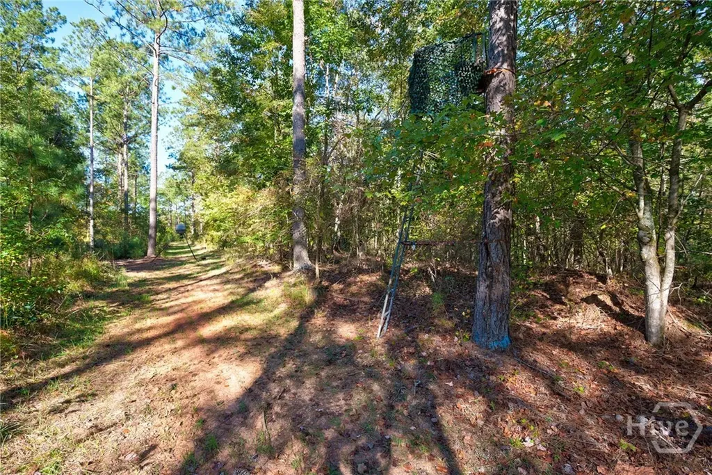 1 Bridges Carlton GA 30627