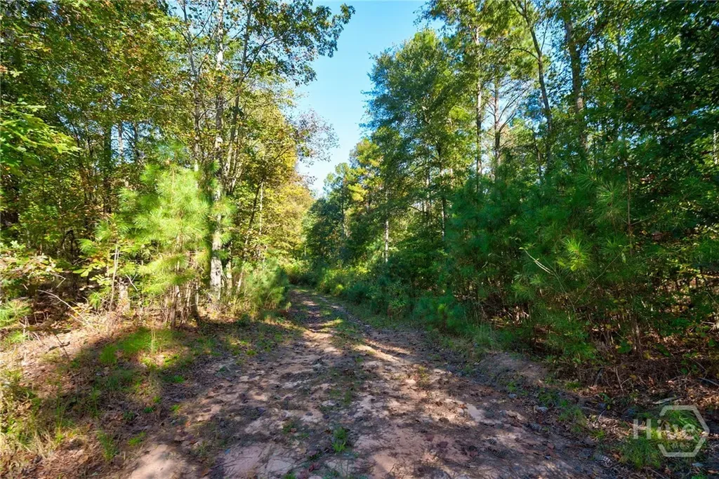 1 Bridges Carlton GA 30627