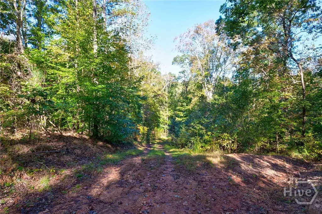 1 Bridges Carlton GA 30627