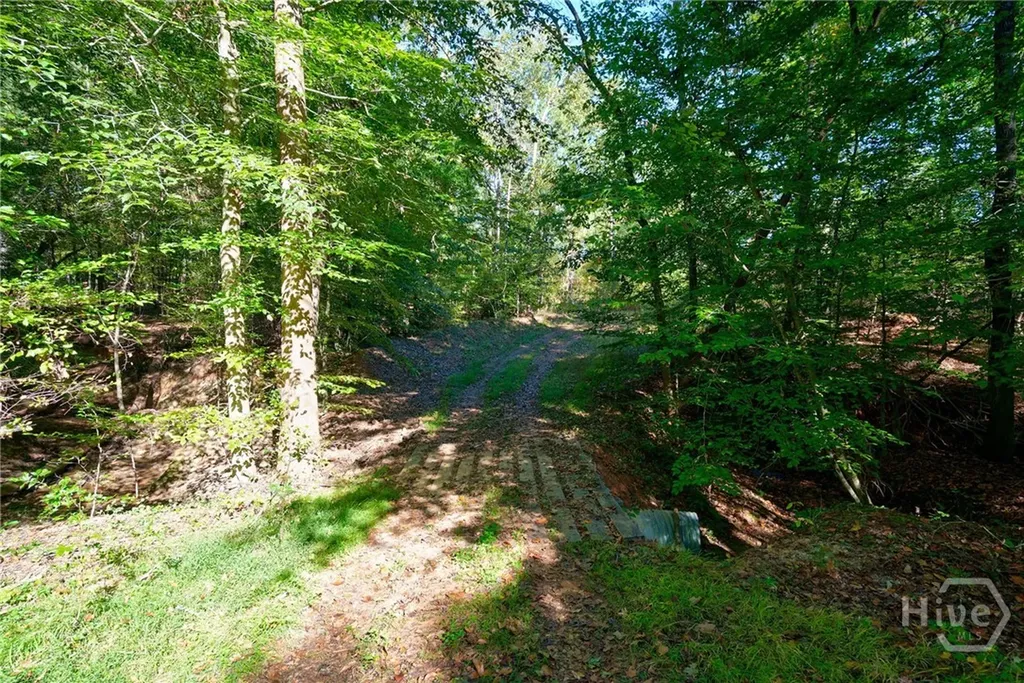 1 Bridges Carlton GA 30627
