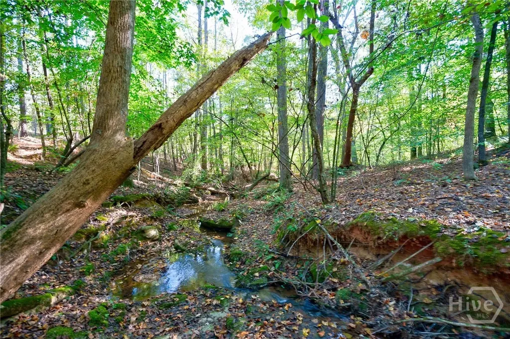 1 Bridges Carlton GA 30627