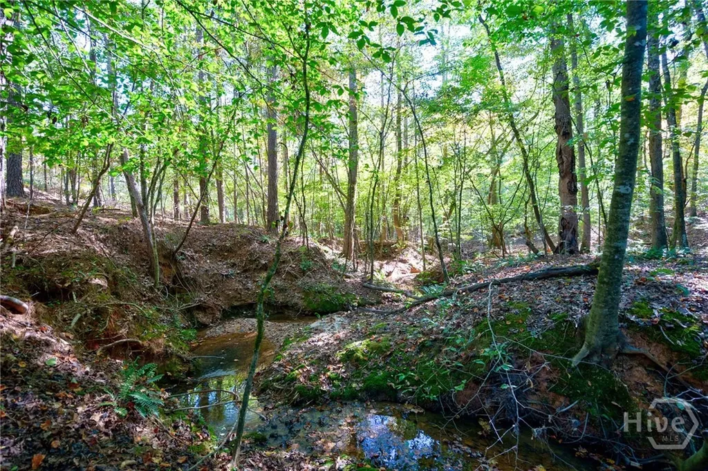 1 Bridges Carlton GA 30627