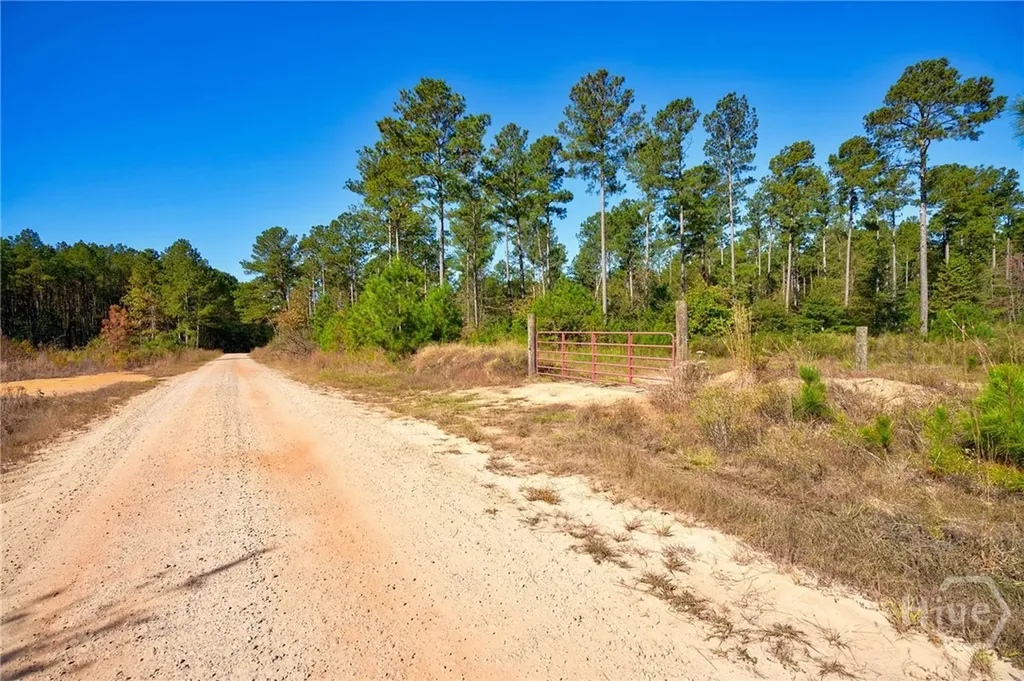 1 Bridges Carlton GA 30627