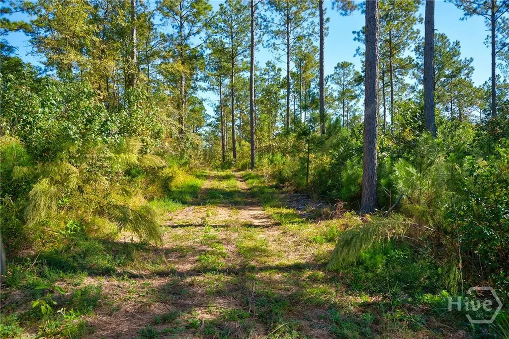 1 Bridges Carlton GA 30627
