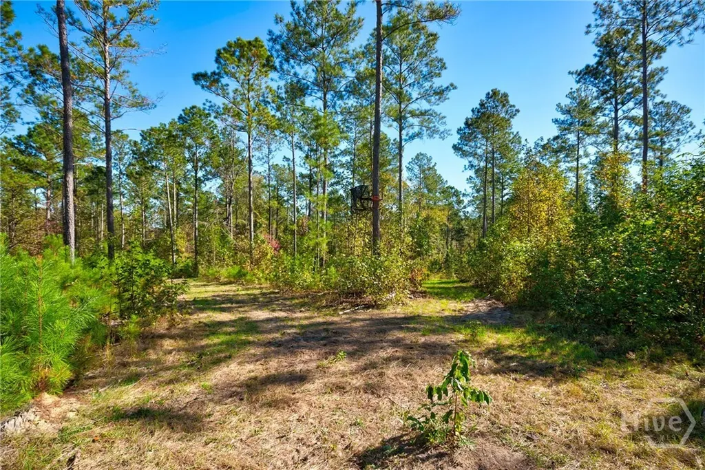 1 Bridges Carlton GA 30627