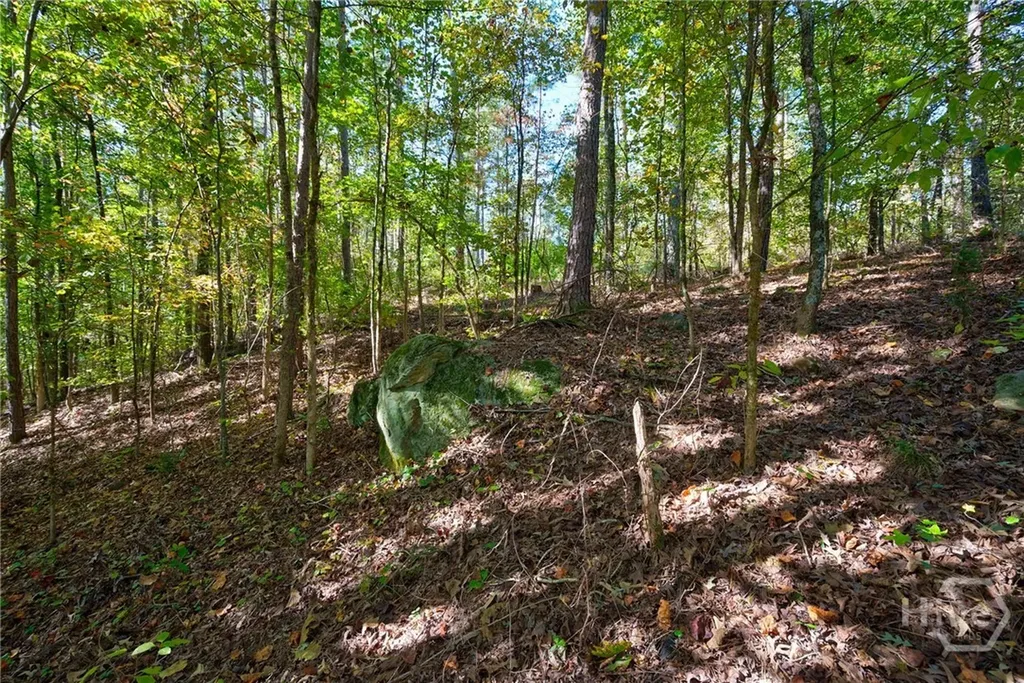 1 Bridges Carlton GA 30627