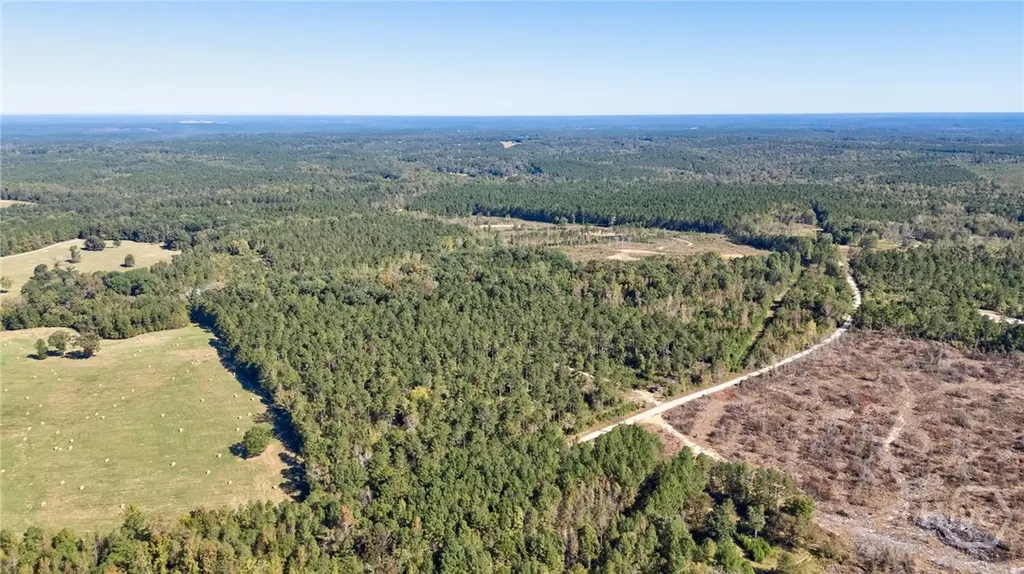 1 Bridges Carlton GA 30627