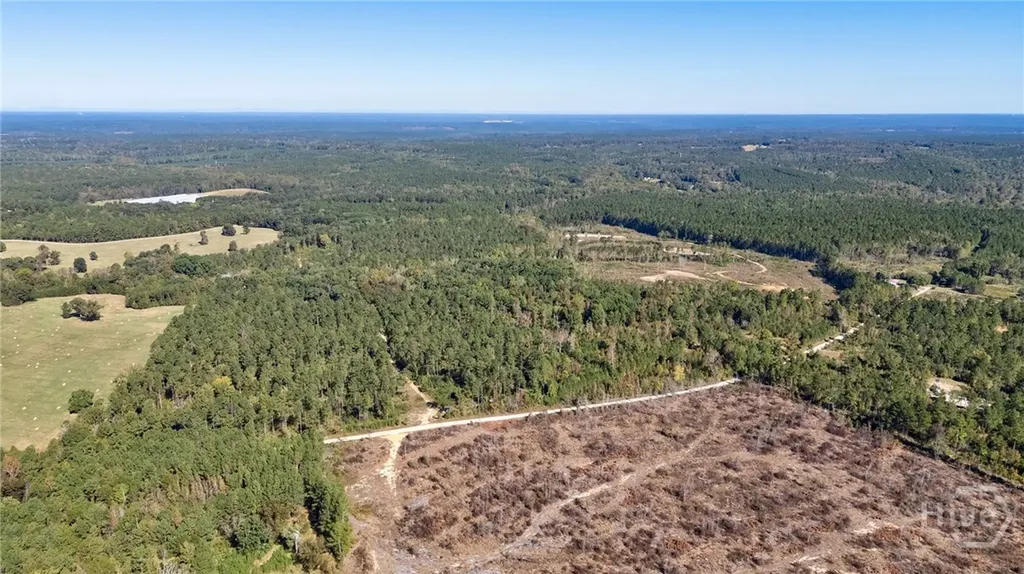 1 Bridges Carlton GA 30627