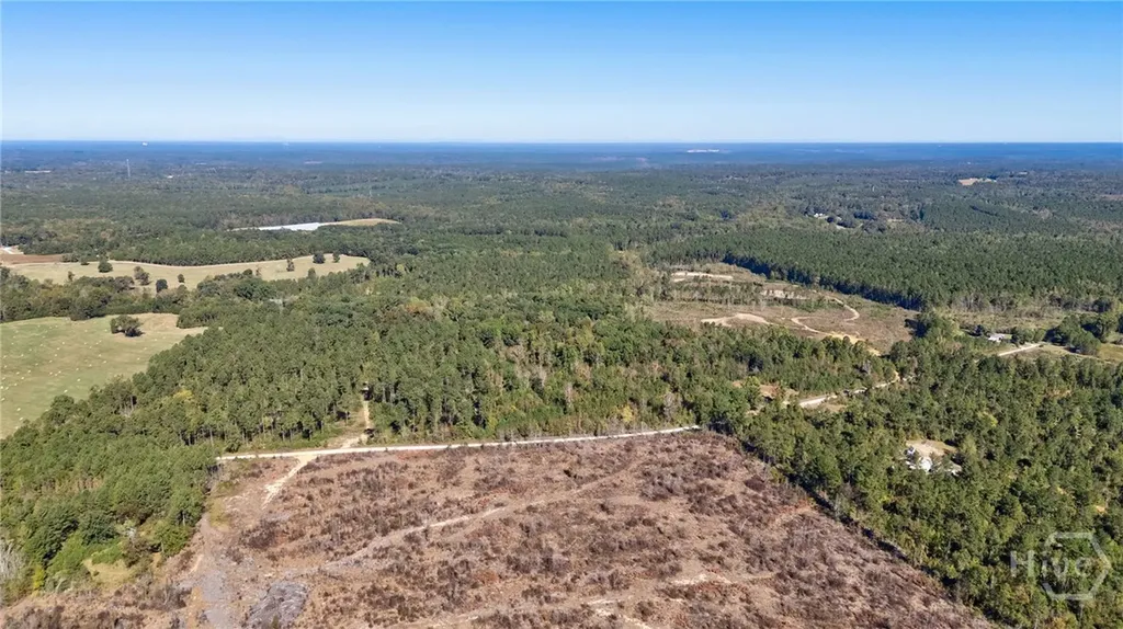 1 Bridges Carlton GA 30627
