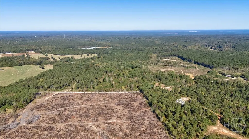 1 Bridges Carlton GA 30627